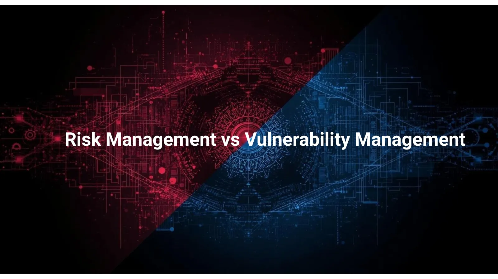Vulnerability Management vs Risk Management